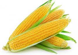 Corn- බඩඉරිගු 